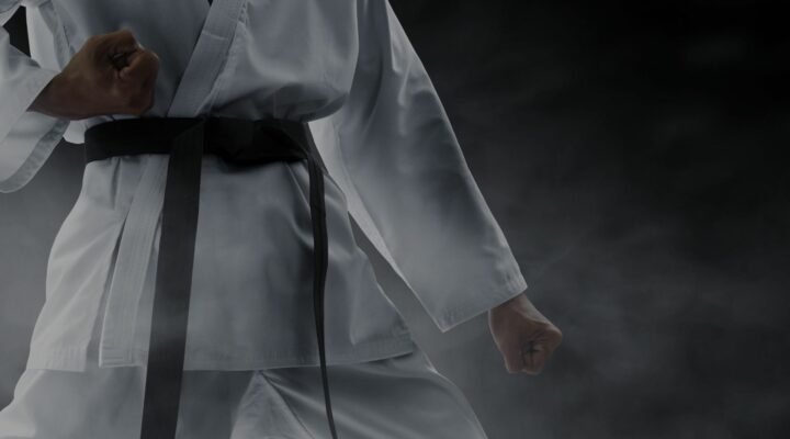 the physical and mental benefits training in martial arts provides